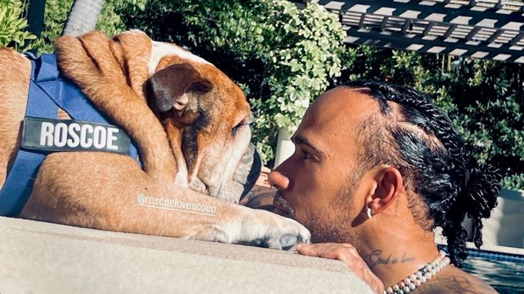 c665cdb2decf0b122e2219379b534379